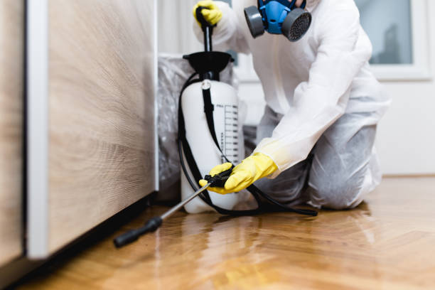 Best Pest Control Near Me  in Barrington, NJ