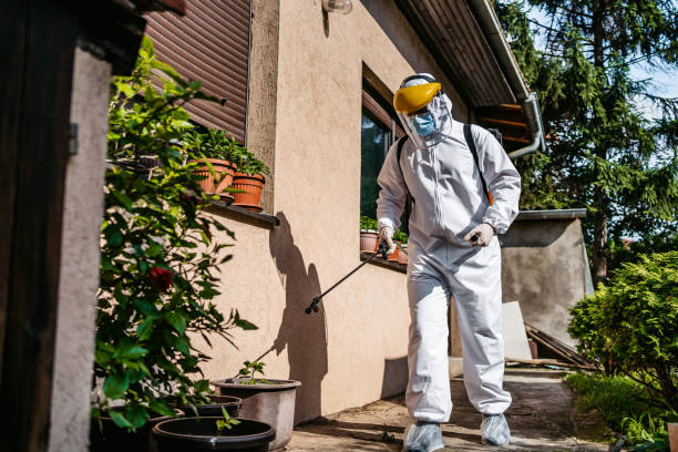 Best Pest Control for Restaurants  in Barrington, NJ
