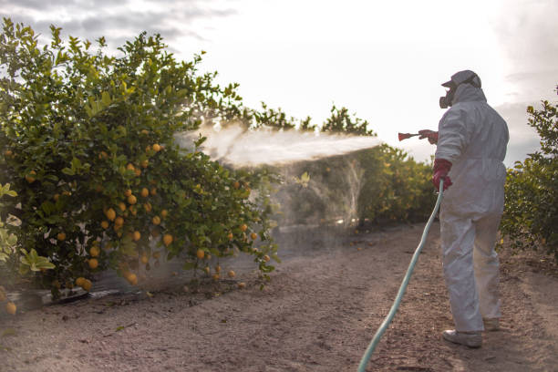 Best Local Pest Control Services  in Barrington, NJ