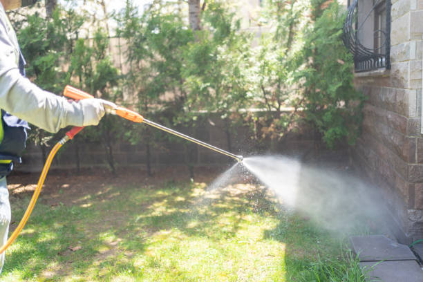 Best Spider Control Near Me  in Barrington, NJ
