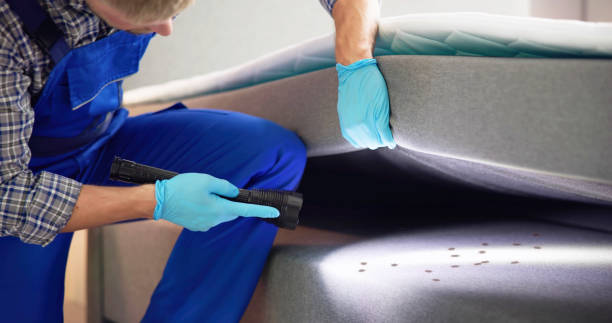 Best Pest Prevention Services  in Barrington, NJ