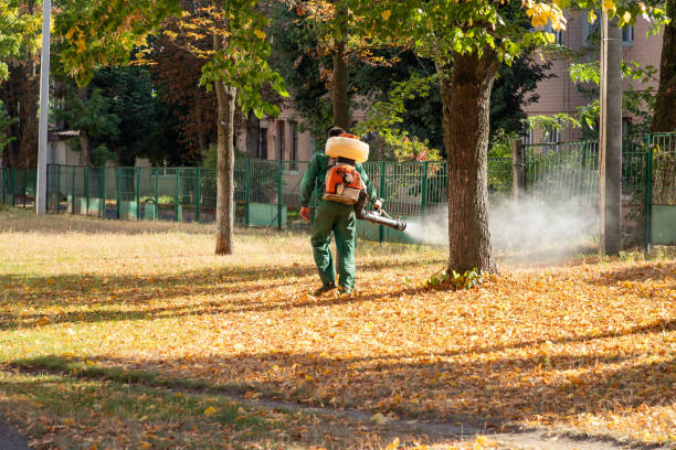Pest Prevention Services in Barrington, NJ