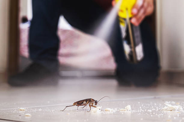 Pest Control for Restaurants in Barrington, NJ