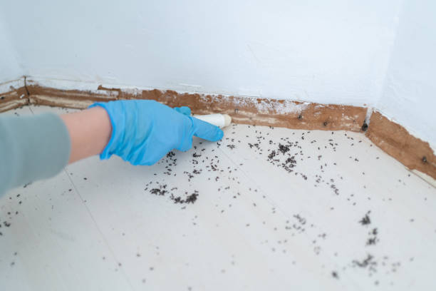Best Mosquito Control Services  in Barrington, NJ